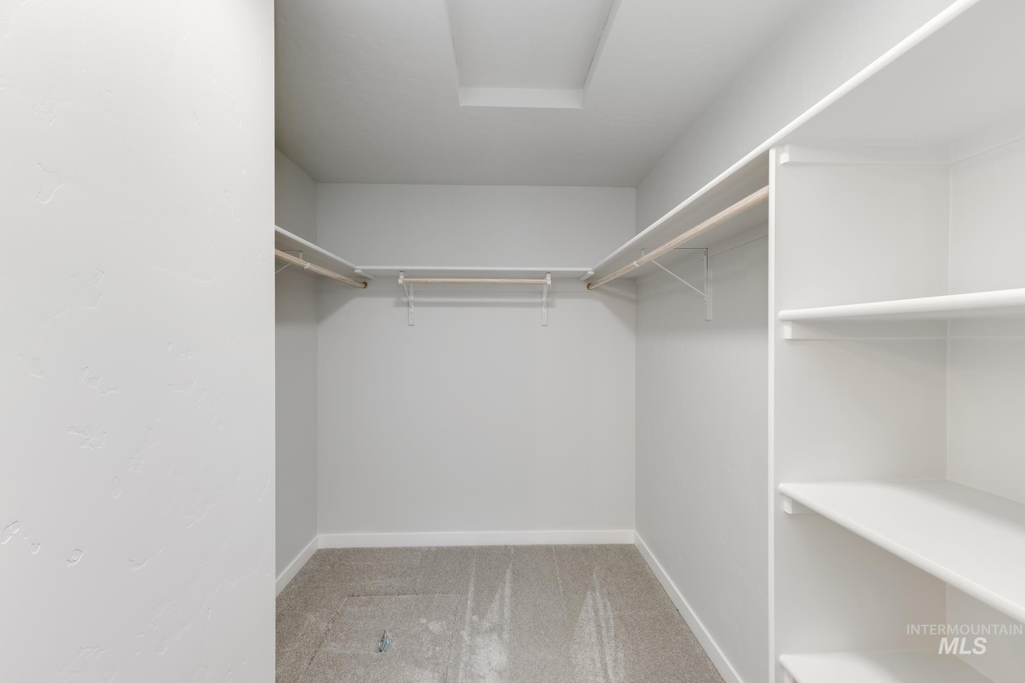 Walk in closet featuring light colored carpet
