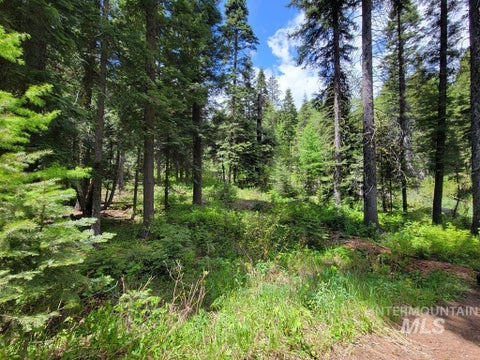 Photo of 32 Arling Trail, Donnelly, ID 83615 (MLS # 98982961)