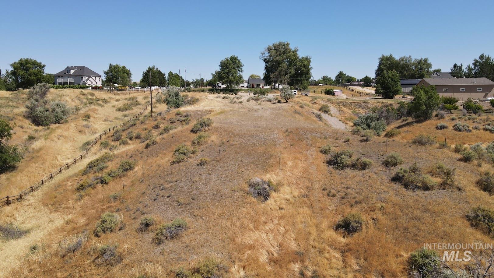 View of local wilderness