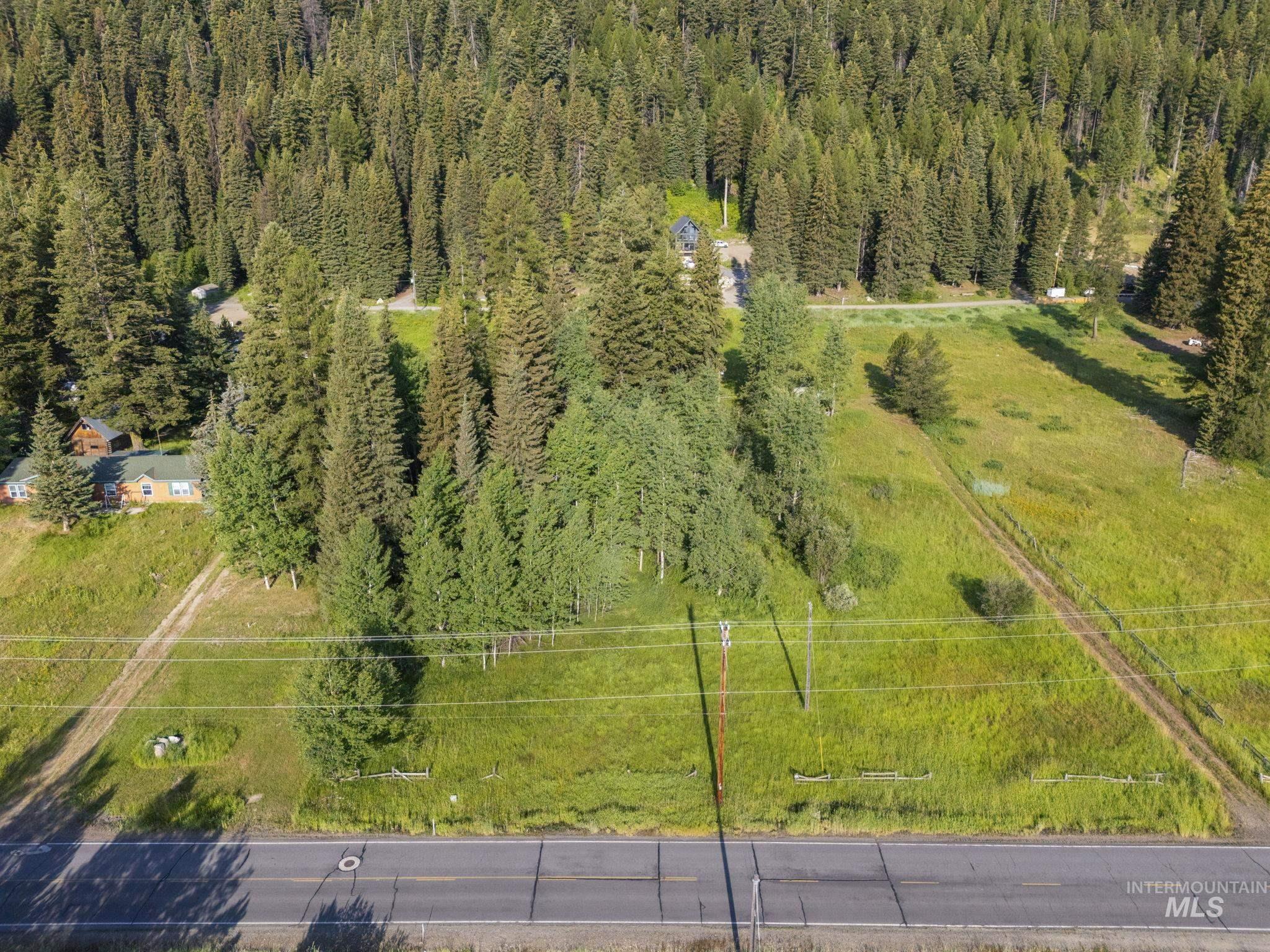 Bird's eye view of a heavily wooded area
