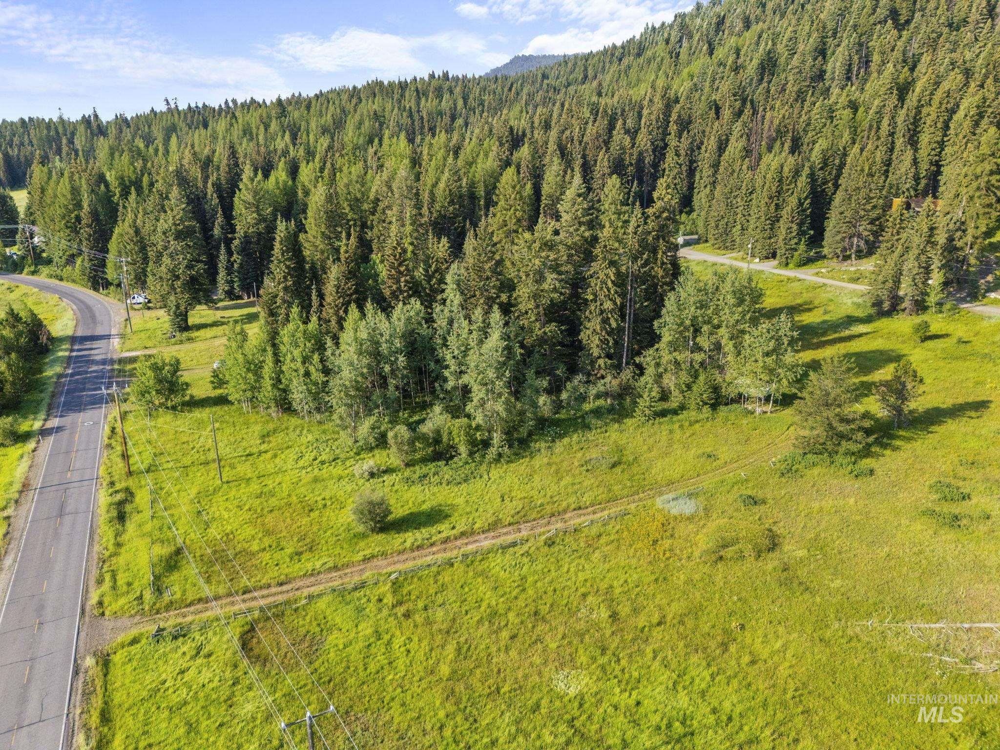 Drone / aerial view of a forest