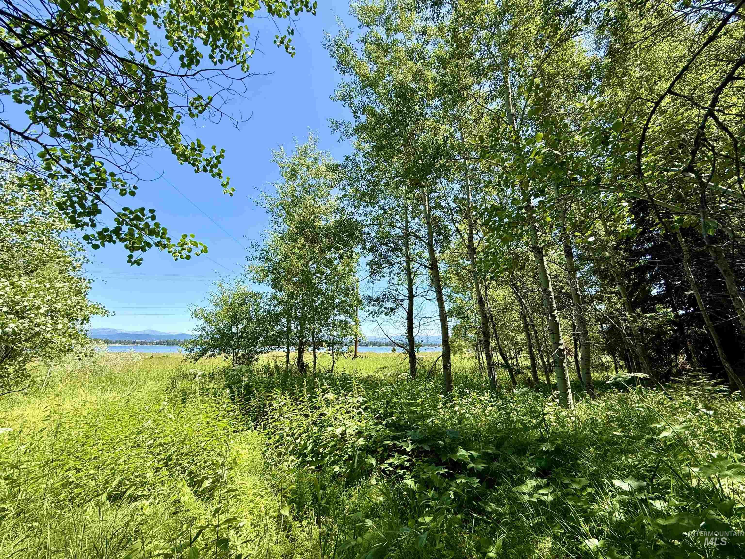 View of undeveloped land with a large body of water