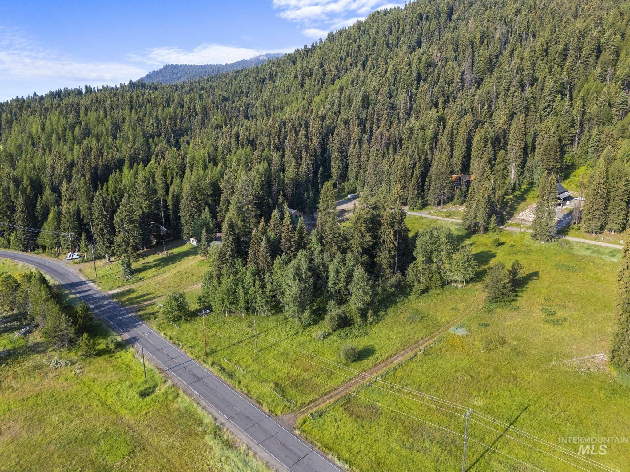 View of mountain background with a forest