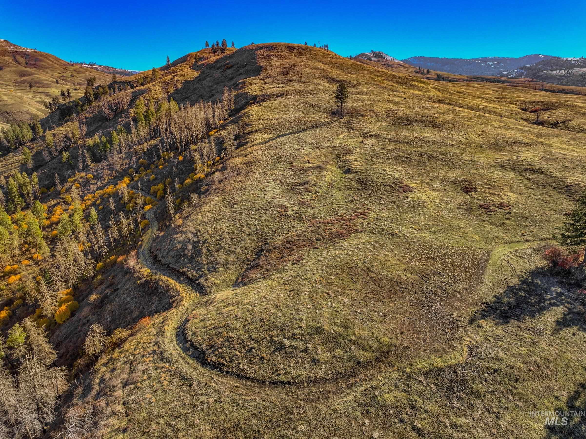 View of mountain background