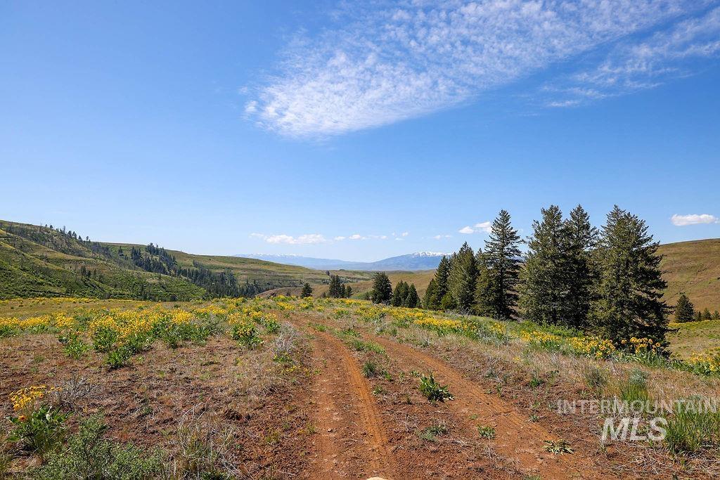 View of mountain background with rural landscape