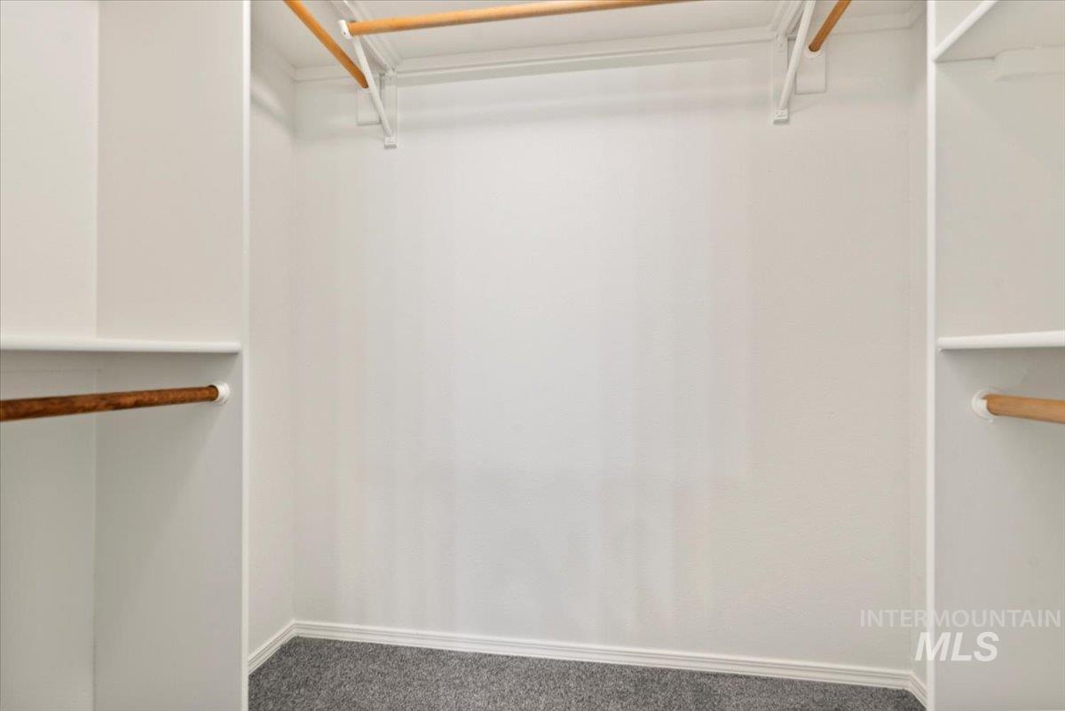 Spacious primary bedroom walk-in closet featuring carpet floors