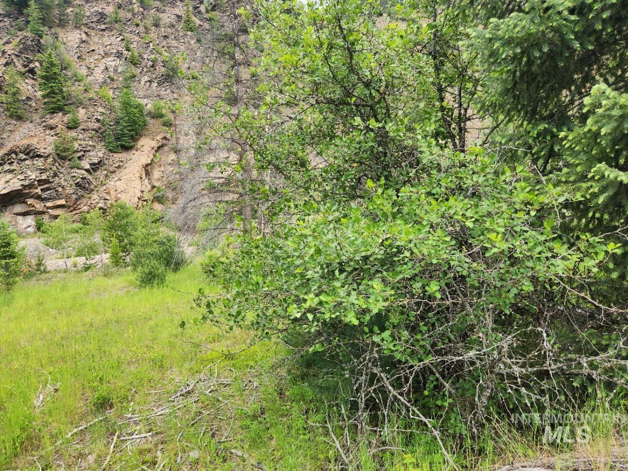 53917 Silver Valley Rd.