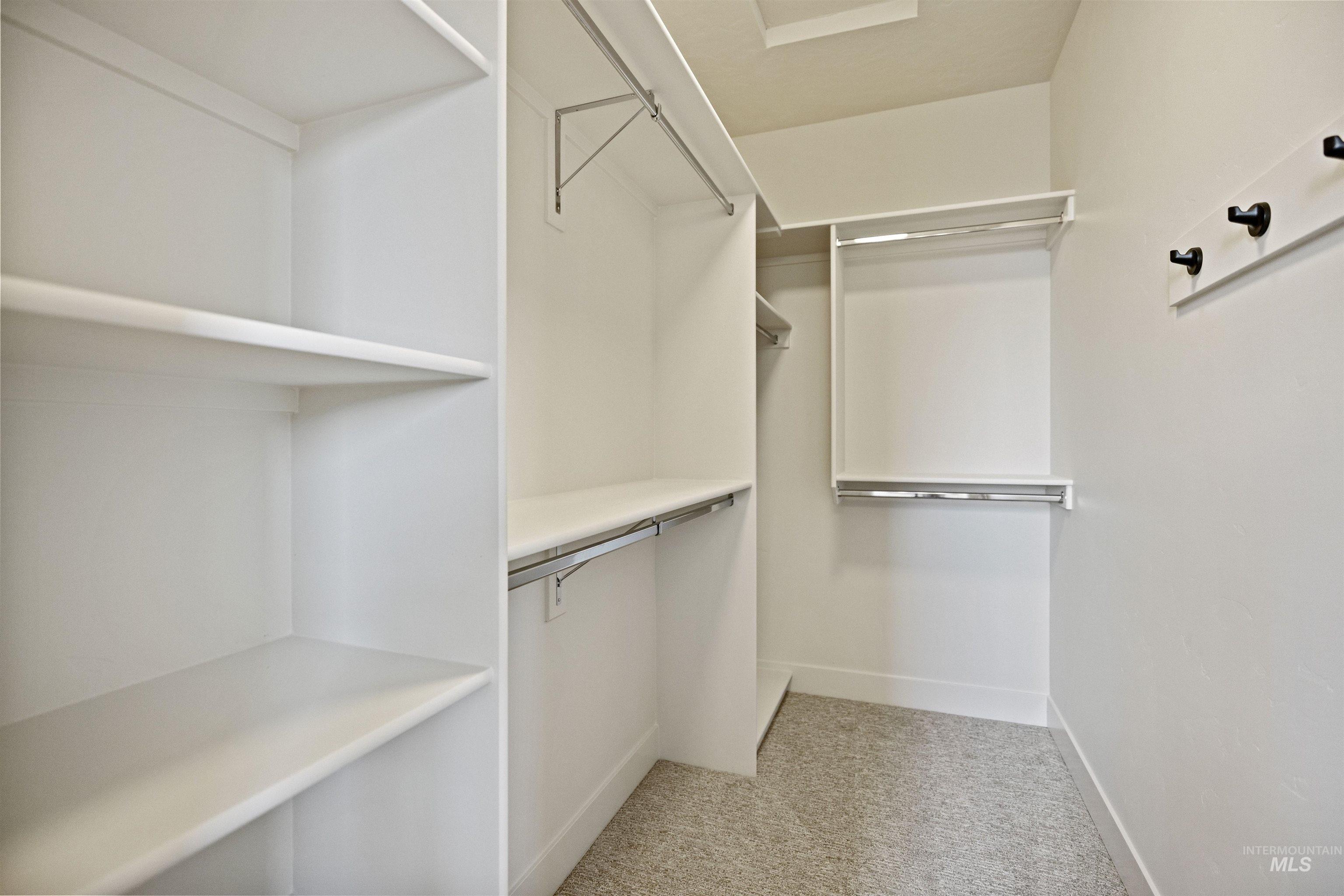 Walk in closet with light carpet