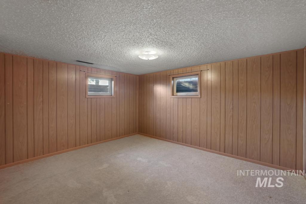 Below grade area featuring light colored carpet, wood walls, and a textured ceiling