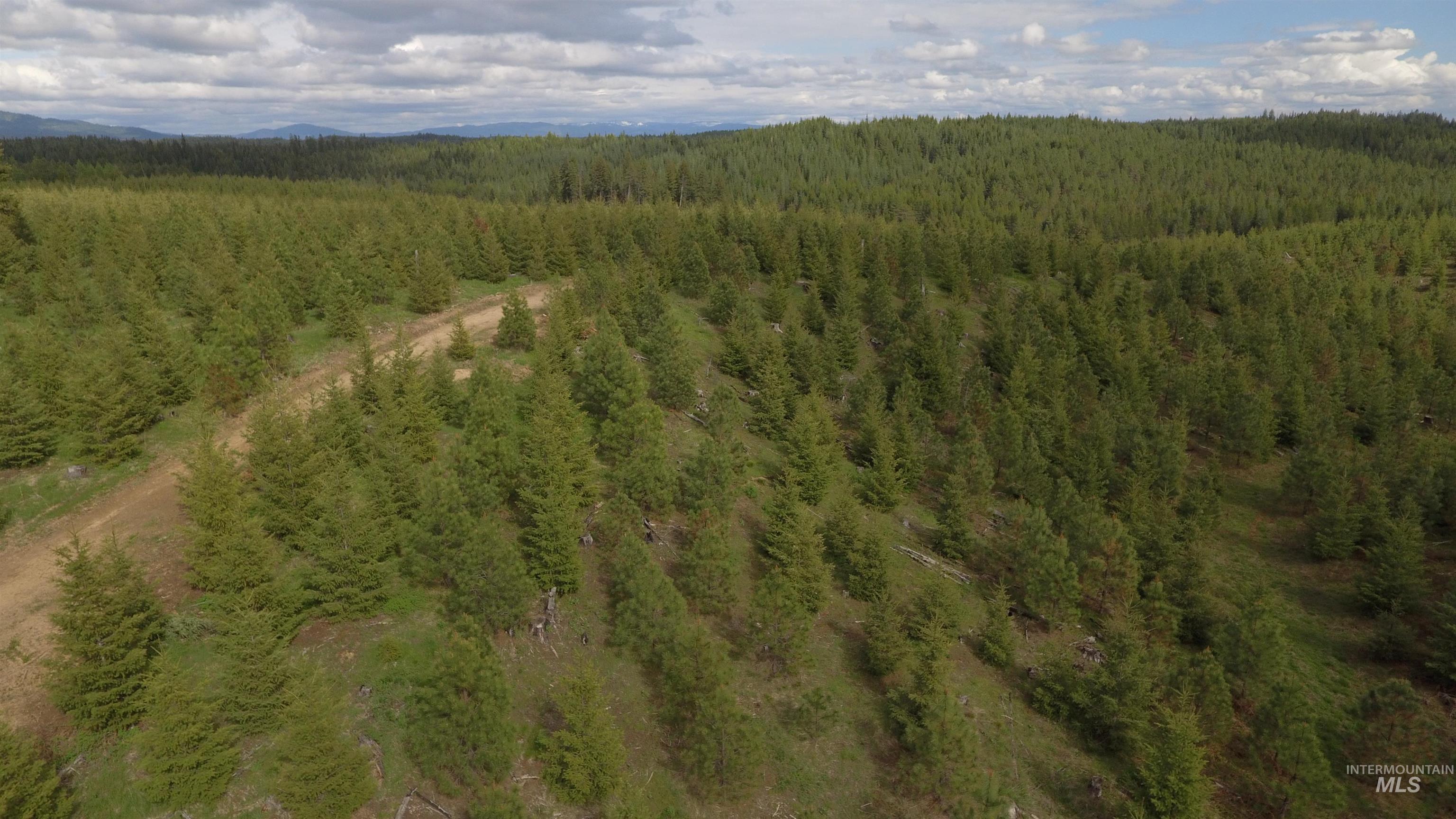 TBD Badger Ridge Dr    Parcel 3