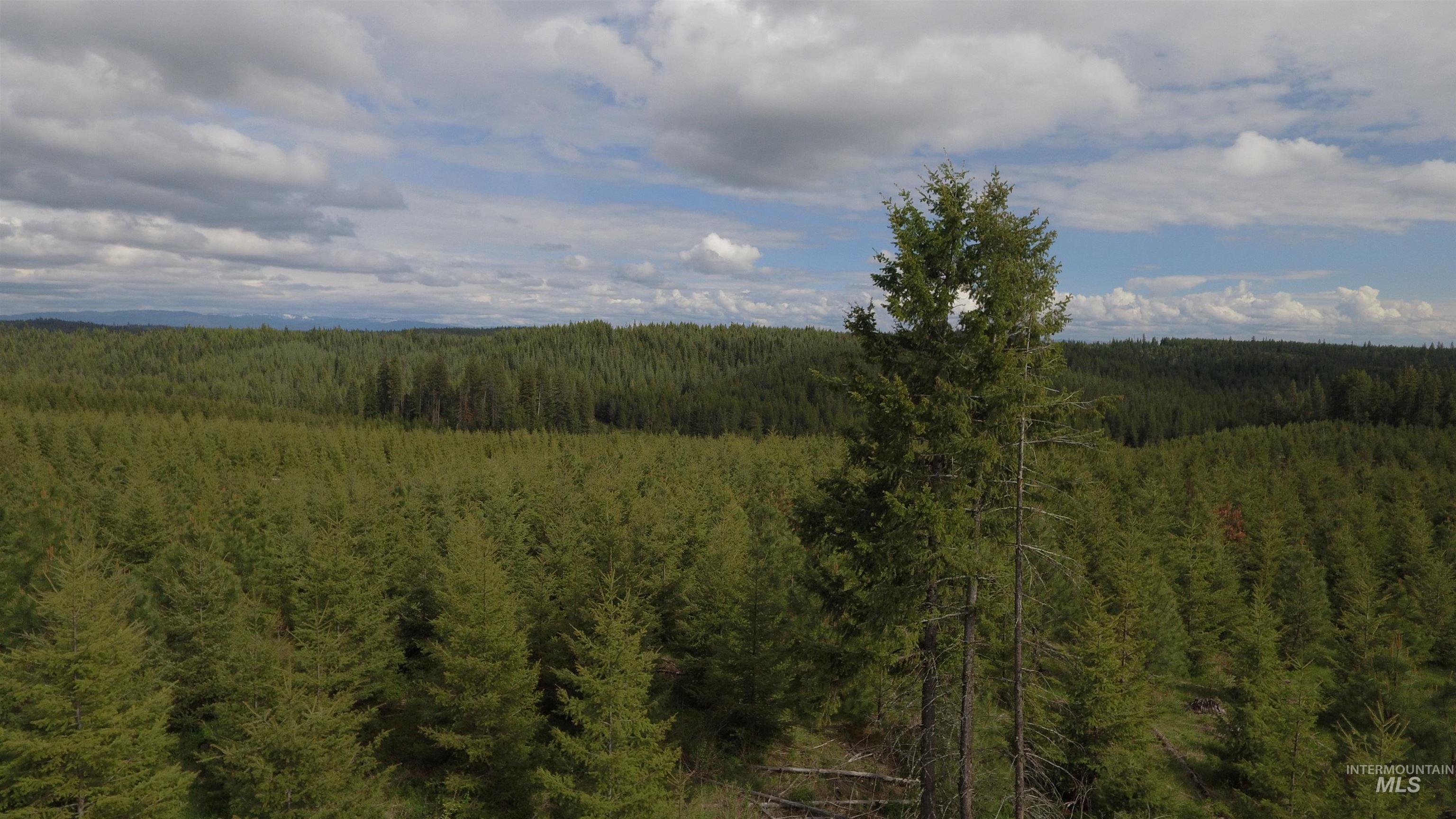 TBD Badger Ridge Dr    Parcel 3