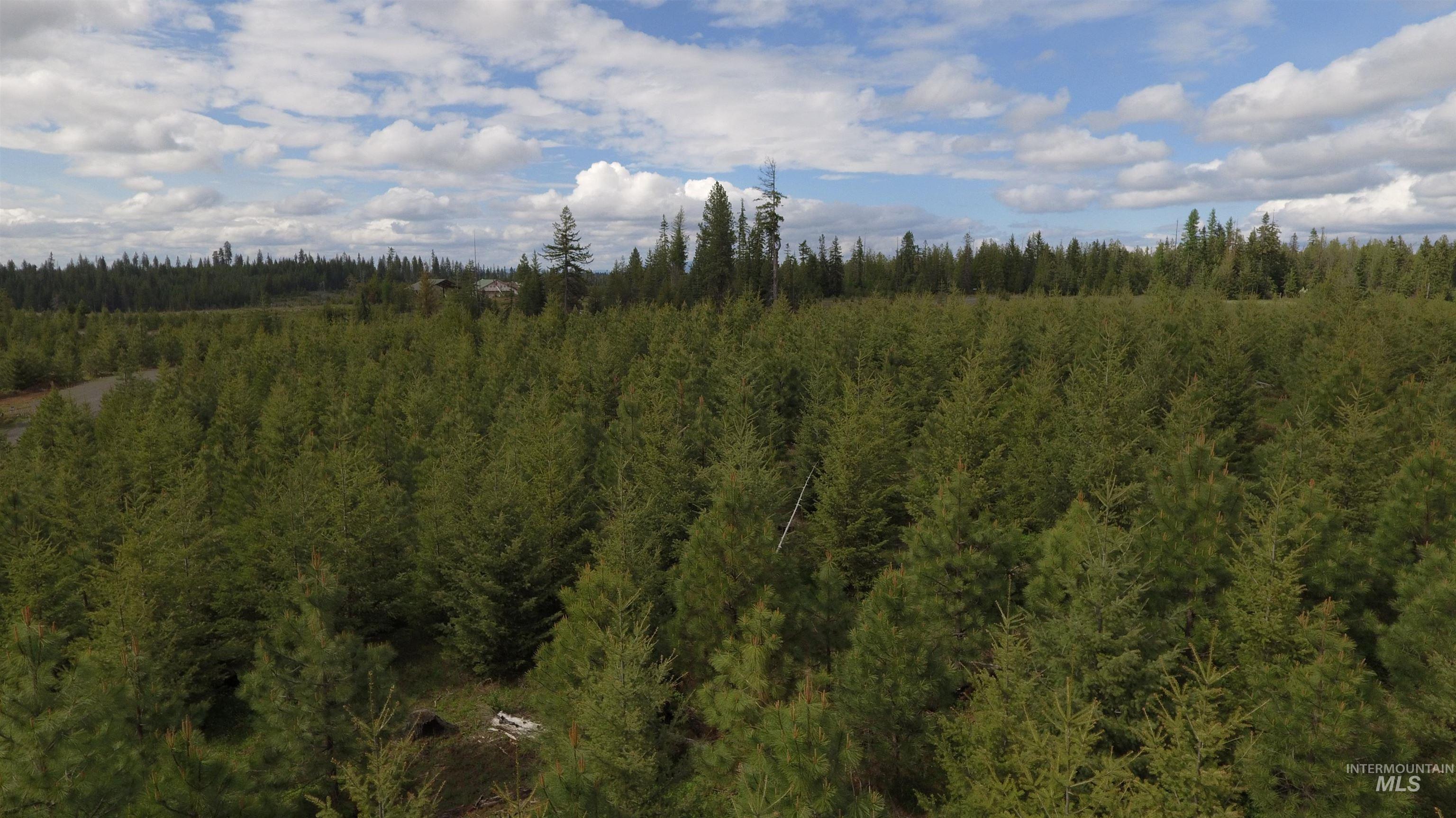 TBD Badger Ridge Dr    Parcel 3