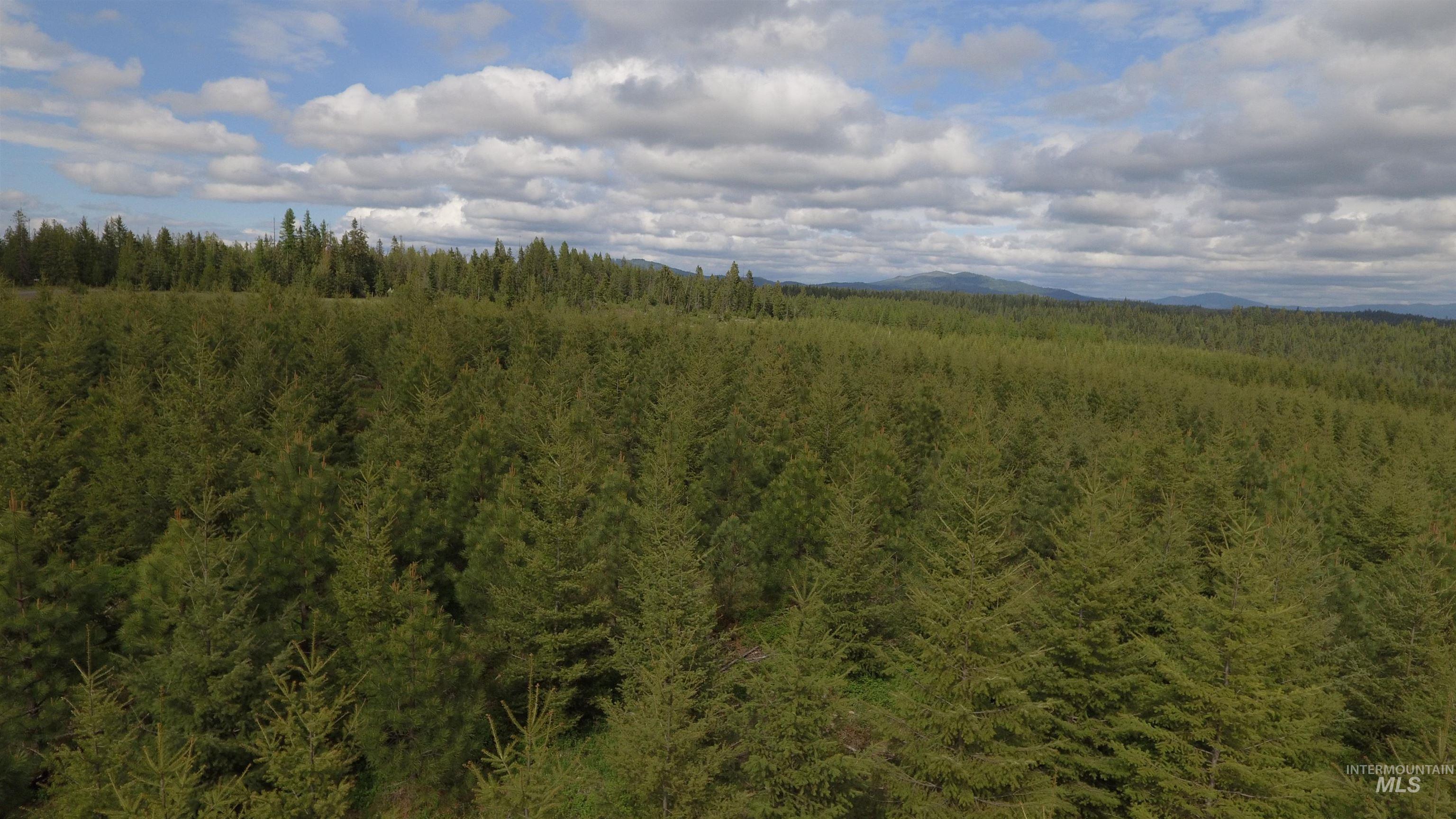 TBD Badger Ridge Dr    Parcel 3