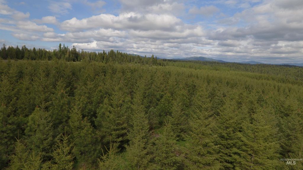 Photo of TBD Badger Ridge Dr Parcel 3, Orofino, ID 83544 (MLS # 98948740)