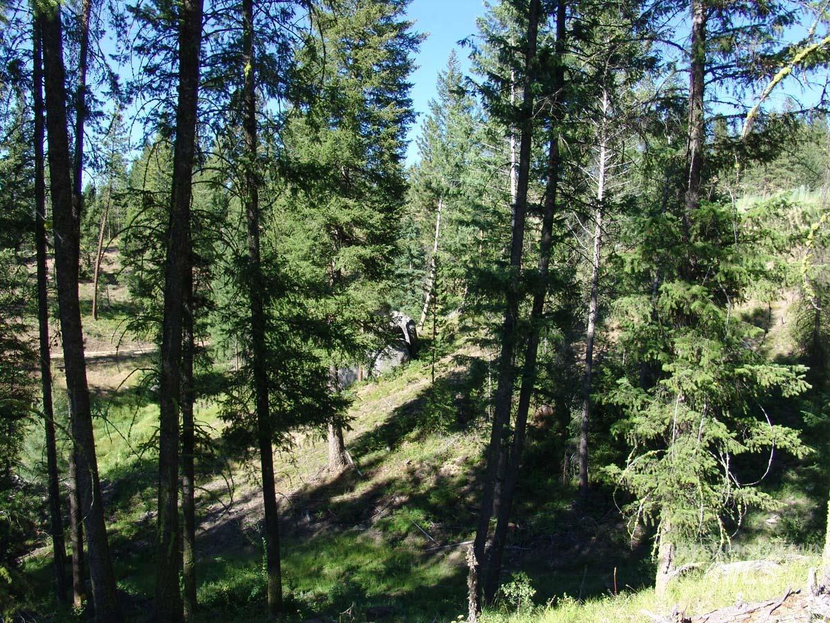 L1 B2 San Ignacio Way