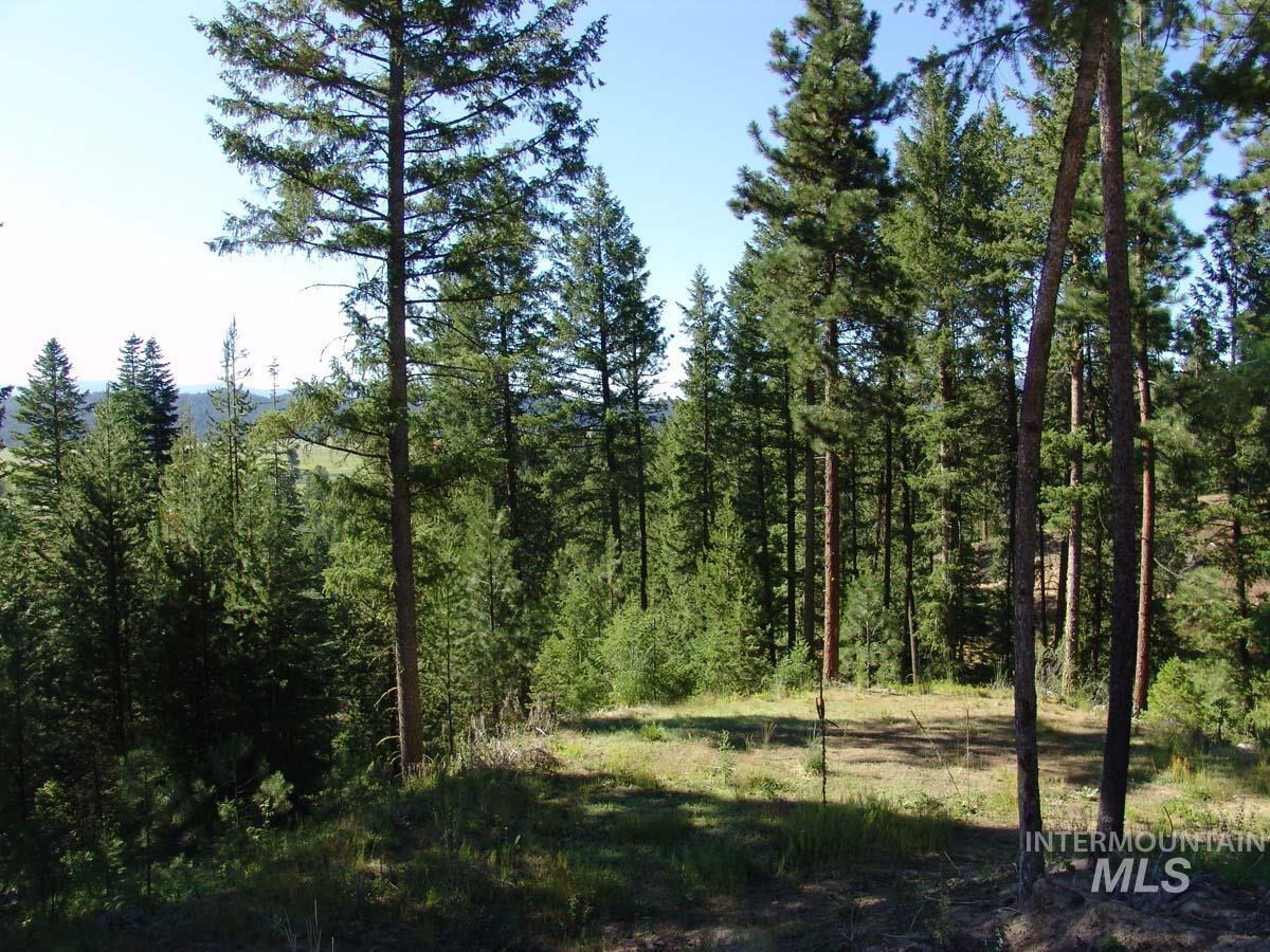 L1 B2 San Ignacio Way