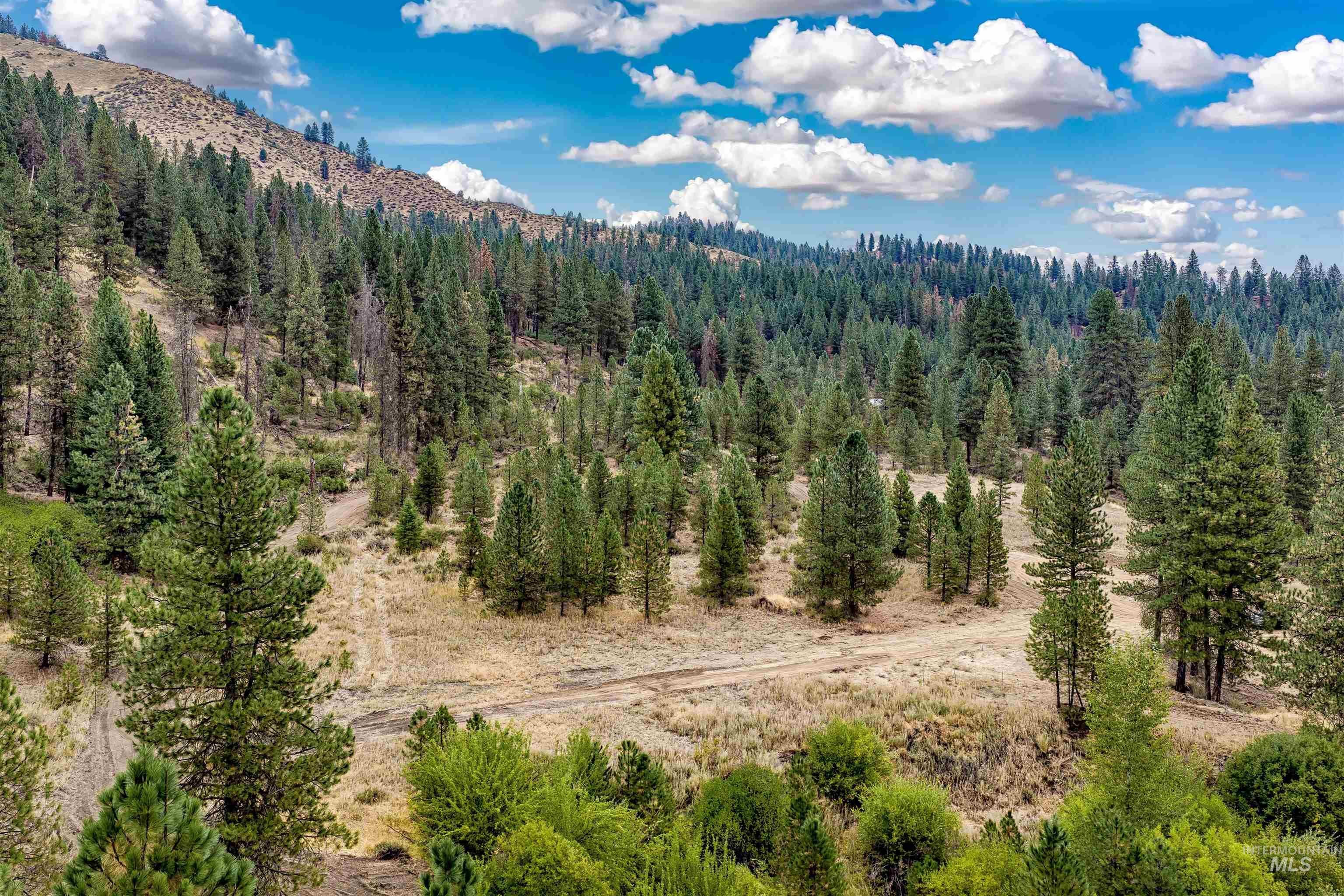 TBD (Lot 1) Hwy 21