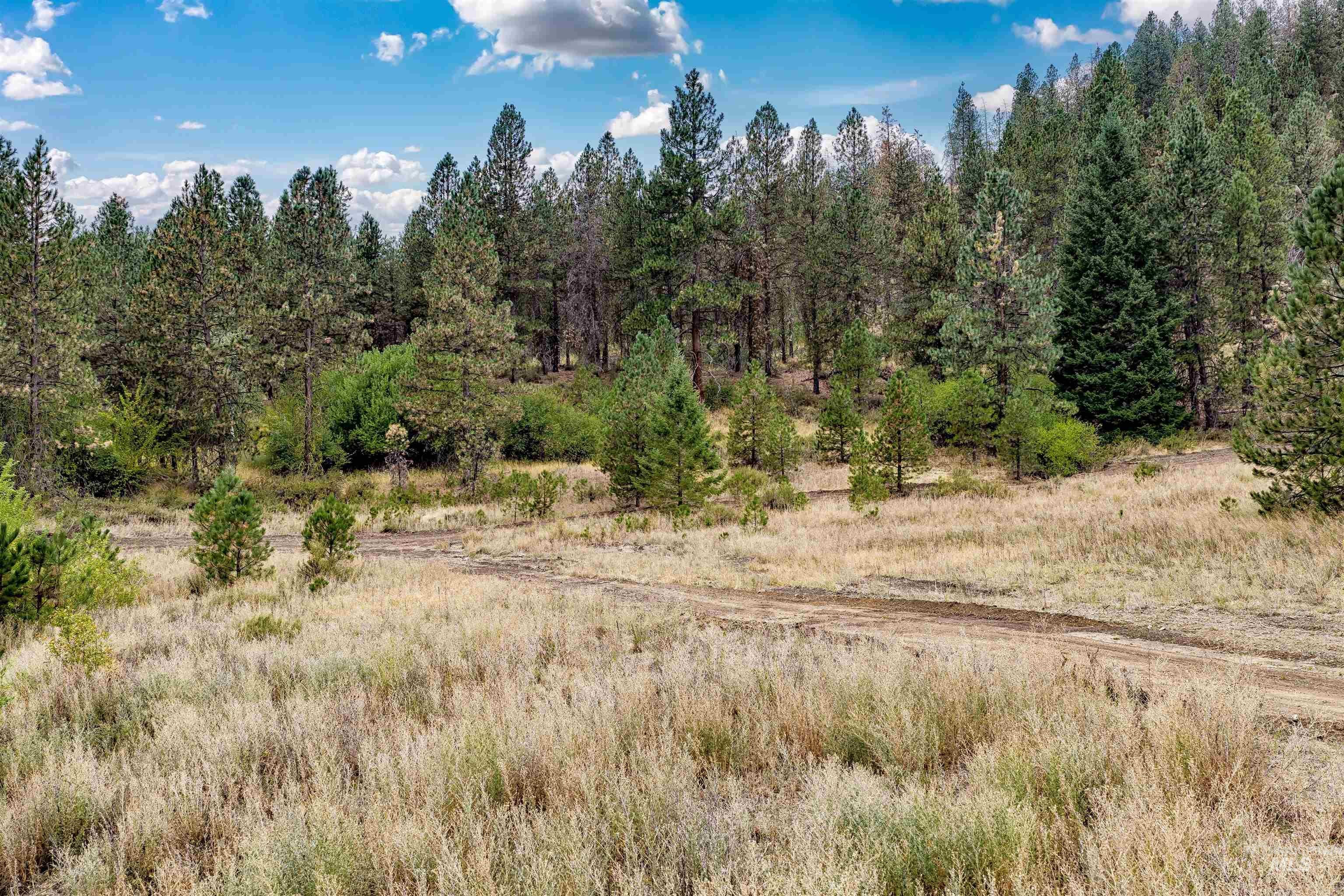 TBD (Lot 1) Hwy 21