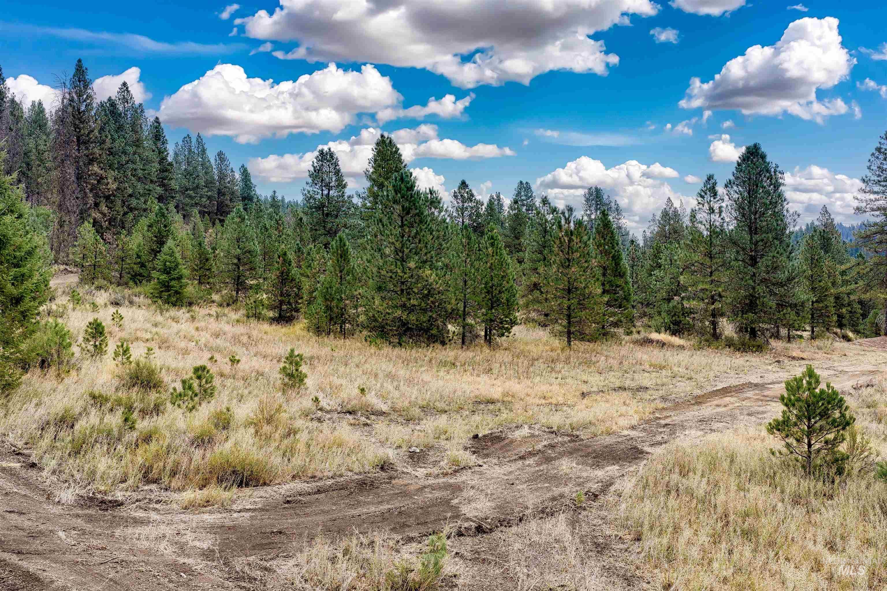 TBD (Lot 1) Hwy 21