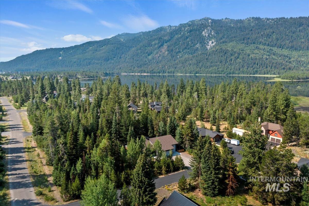 Drone / aerial view of a mountainous background and a forest