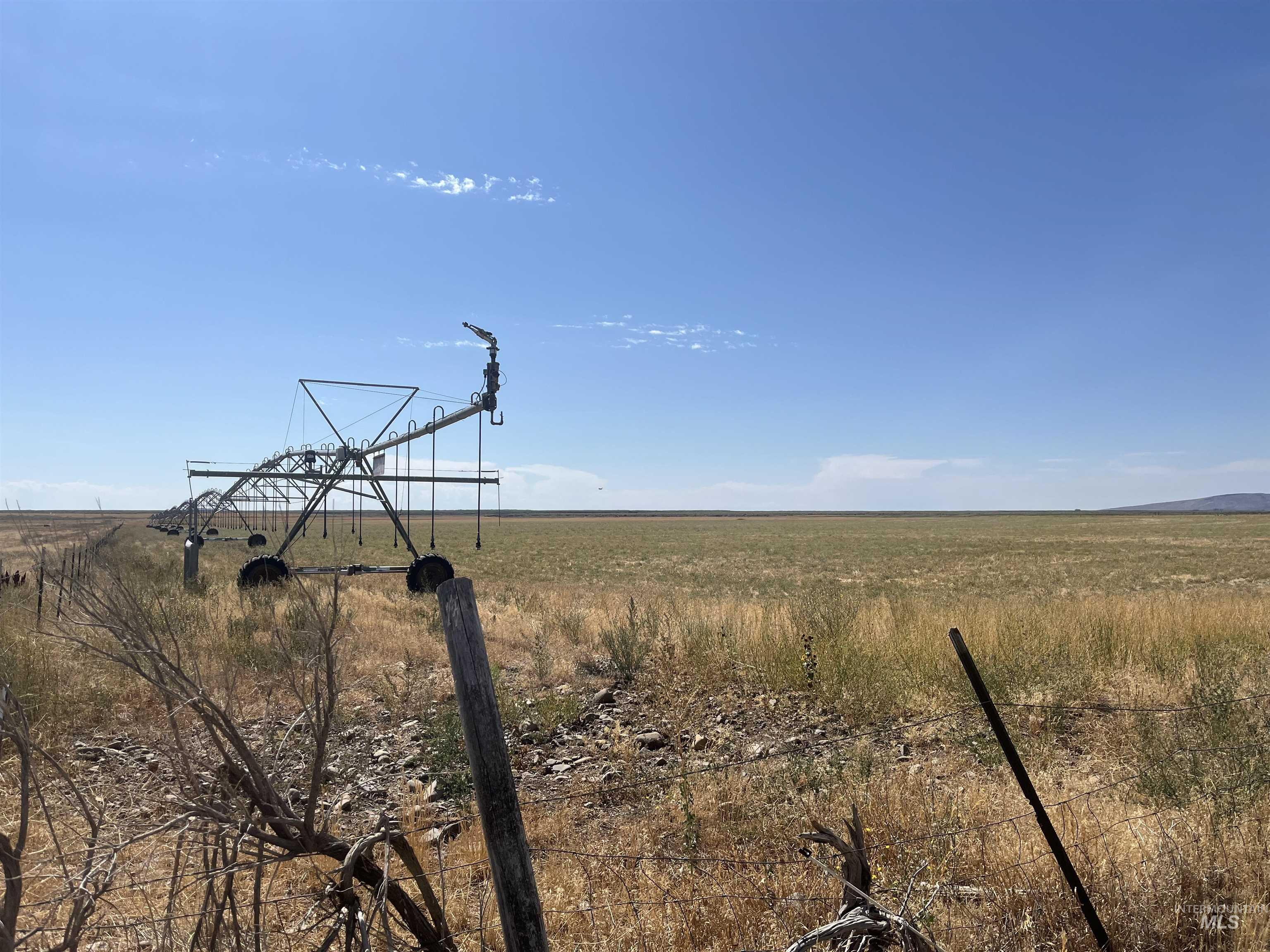 138 Laidlaw Park Road