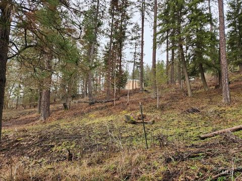 Photo of TBD Elwood St Parcel A, Peck, ID 83545 (MLS # 98902241)