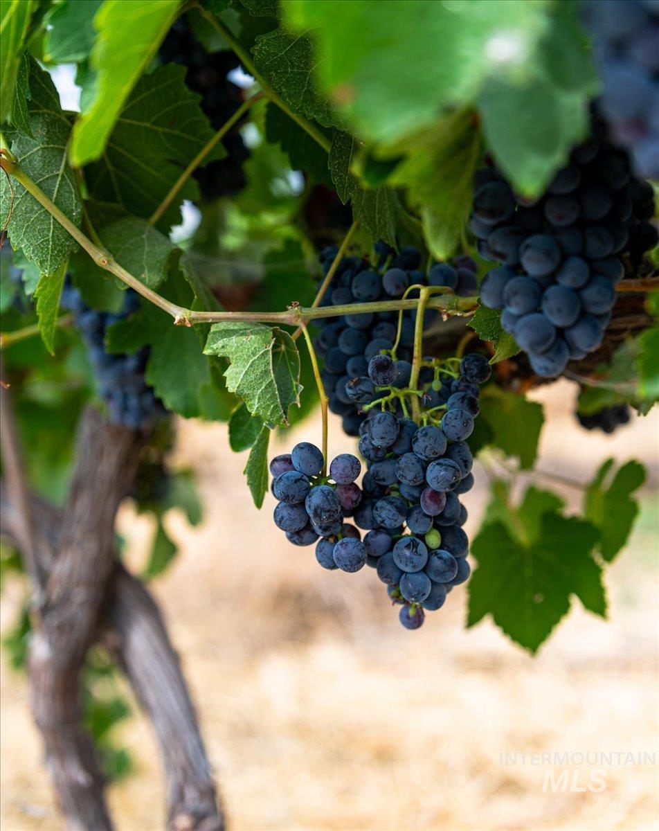 24013 Arena Valley Rd