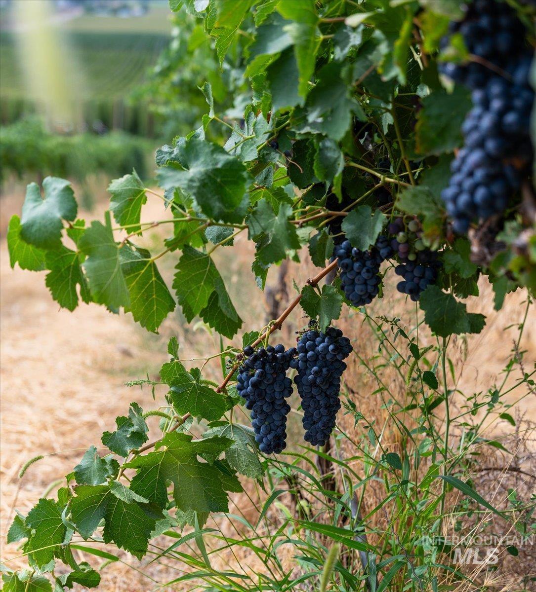 24013 Arena Valley Rd