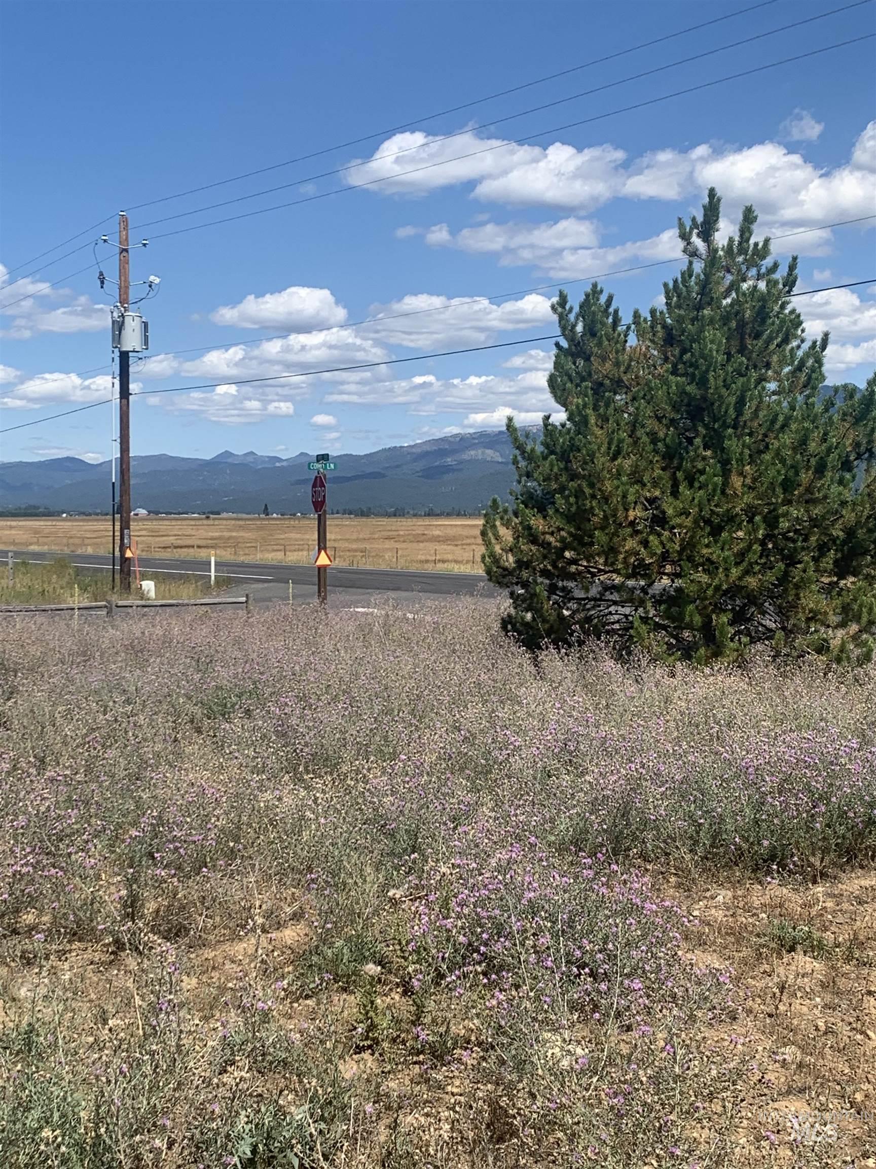 View of yard with a view of countryside and a mountain view