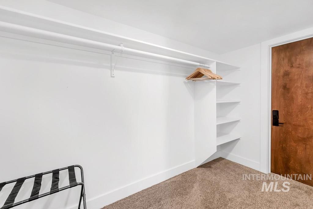 Spacious closet with carpet flooring