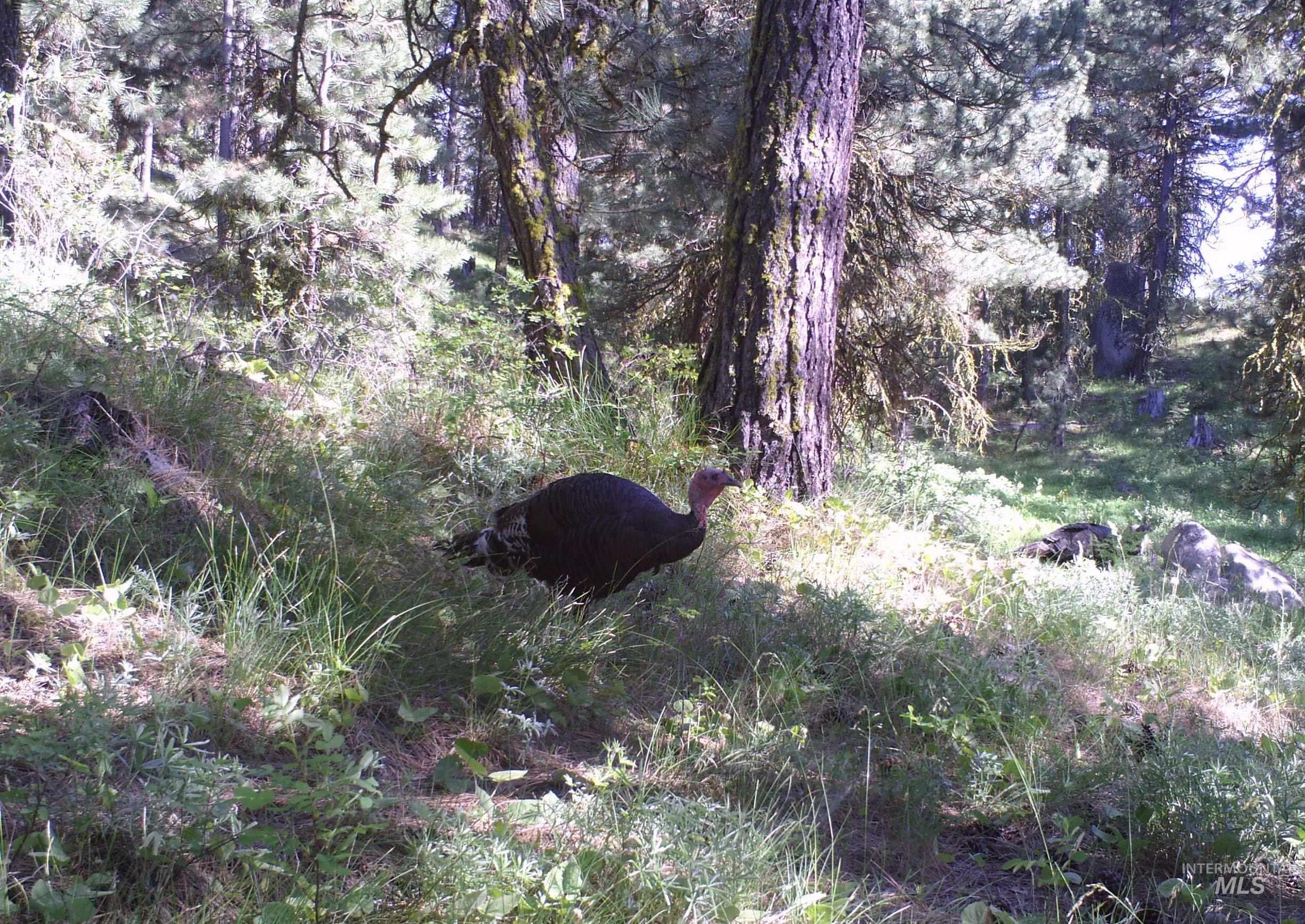 View of undeveloped land