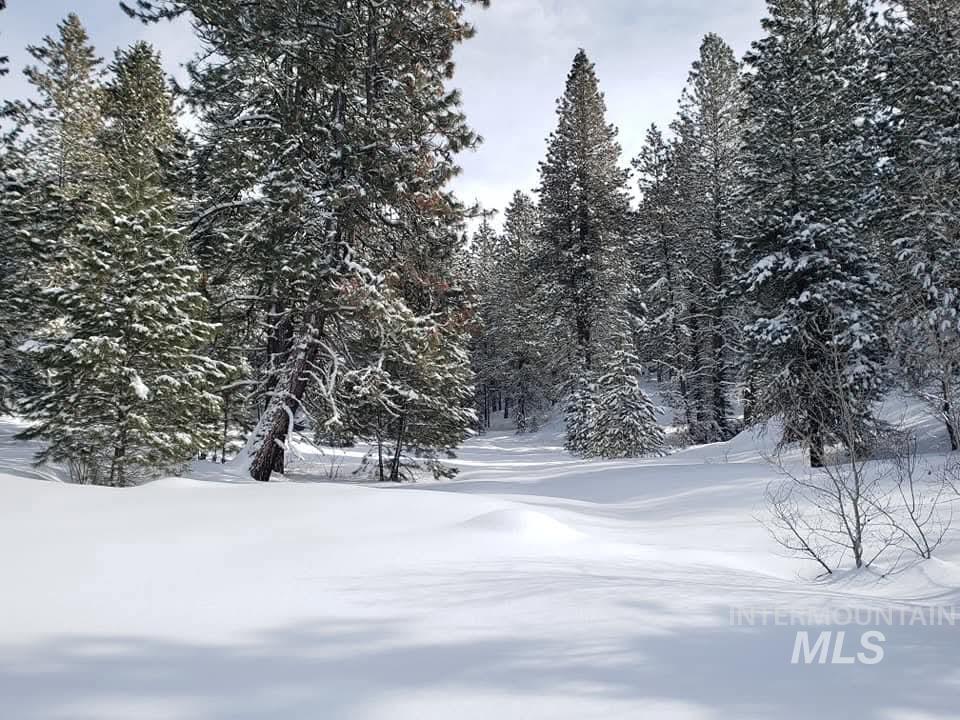 View of yard covered in snow