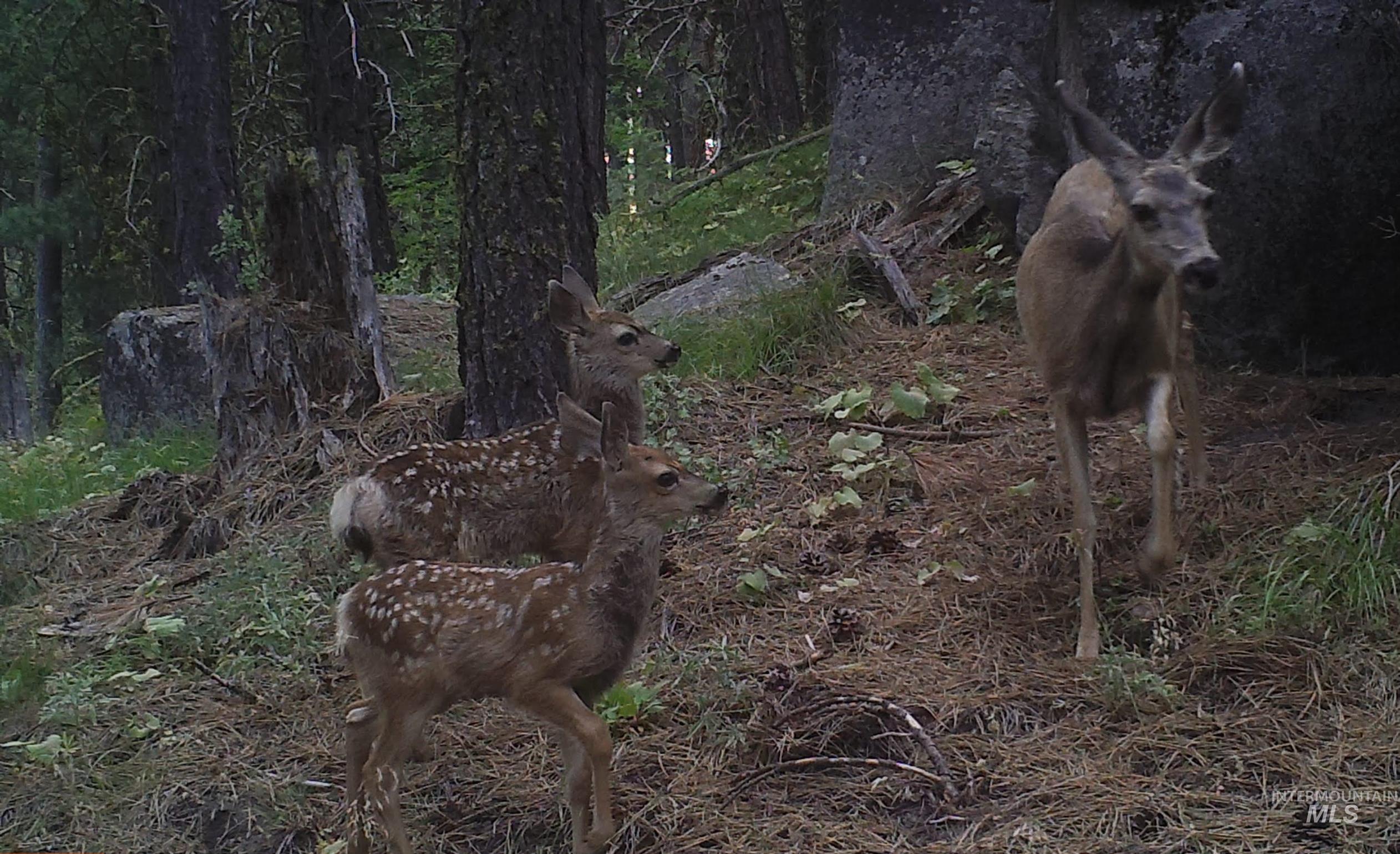 View of undeveloped land