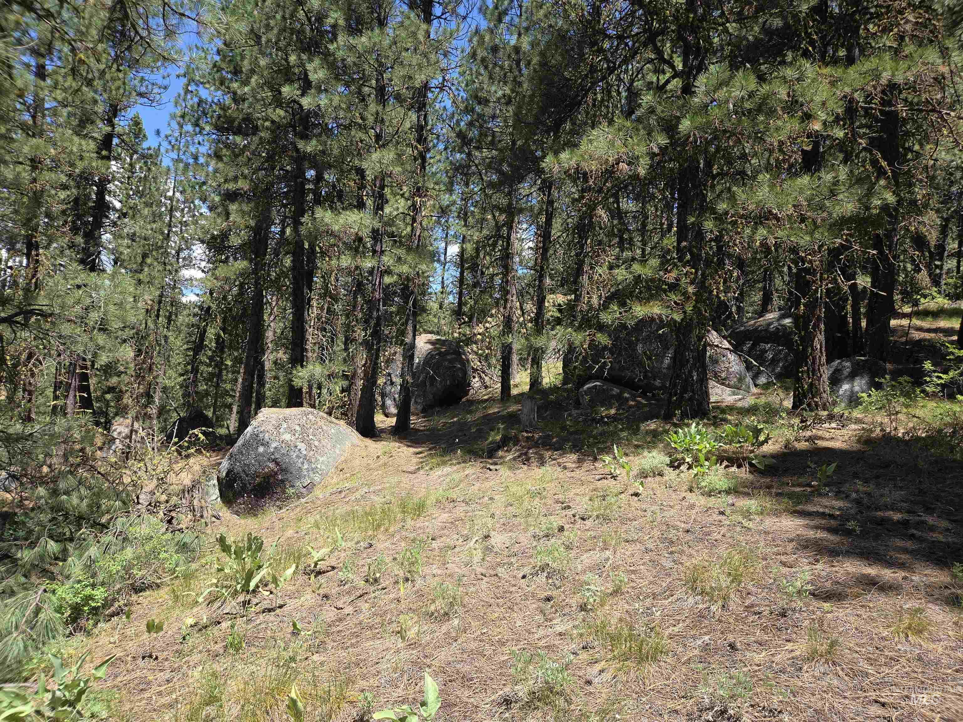 View of undeveloped land