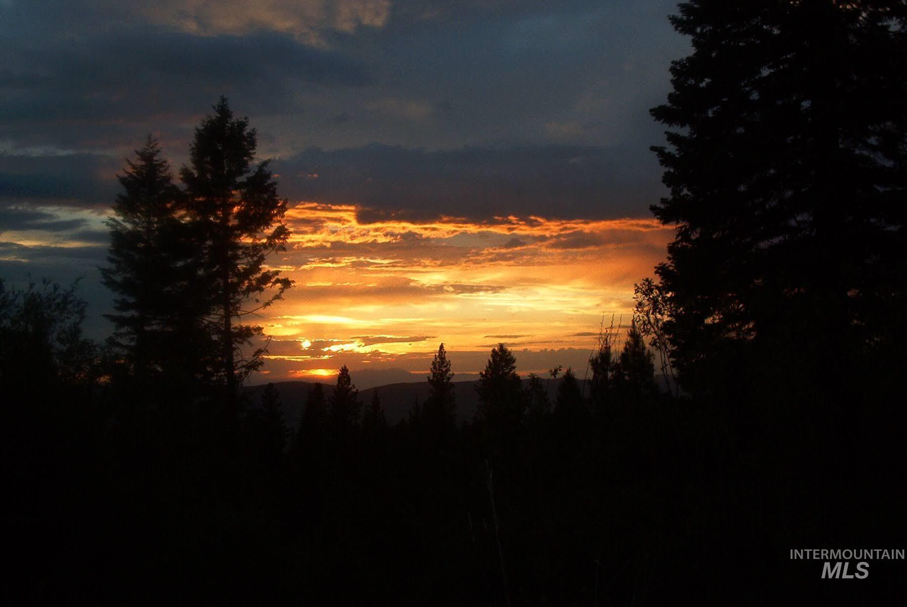 View of local wilderness