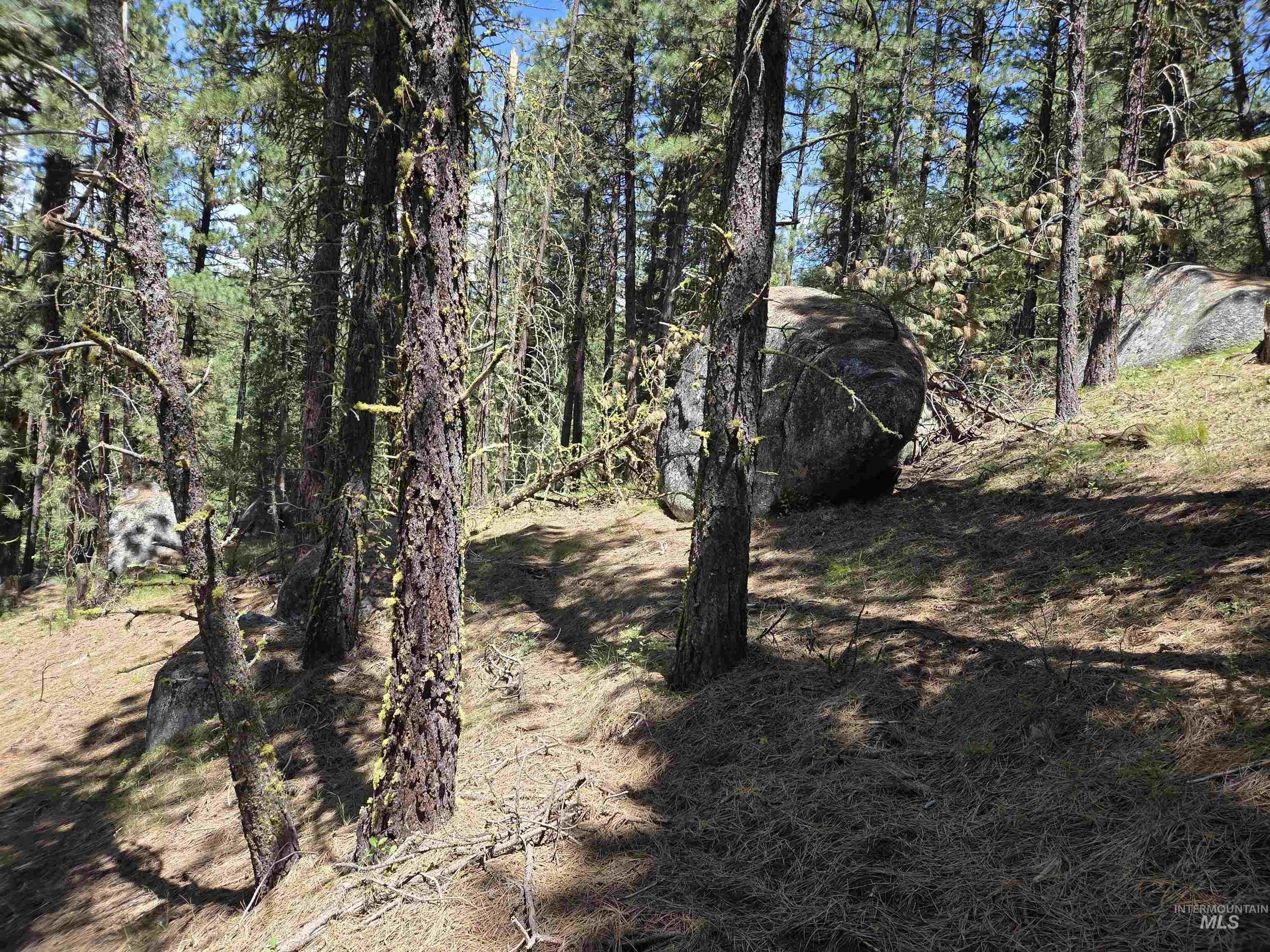 View of undeveloped land