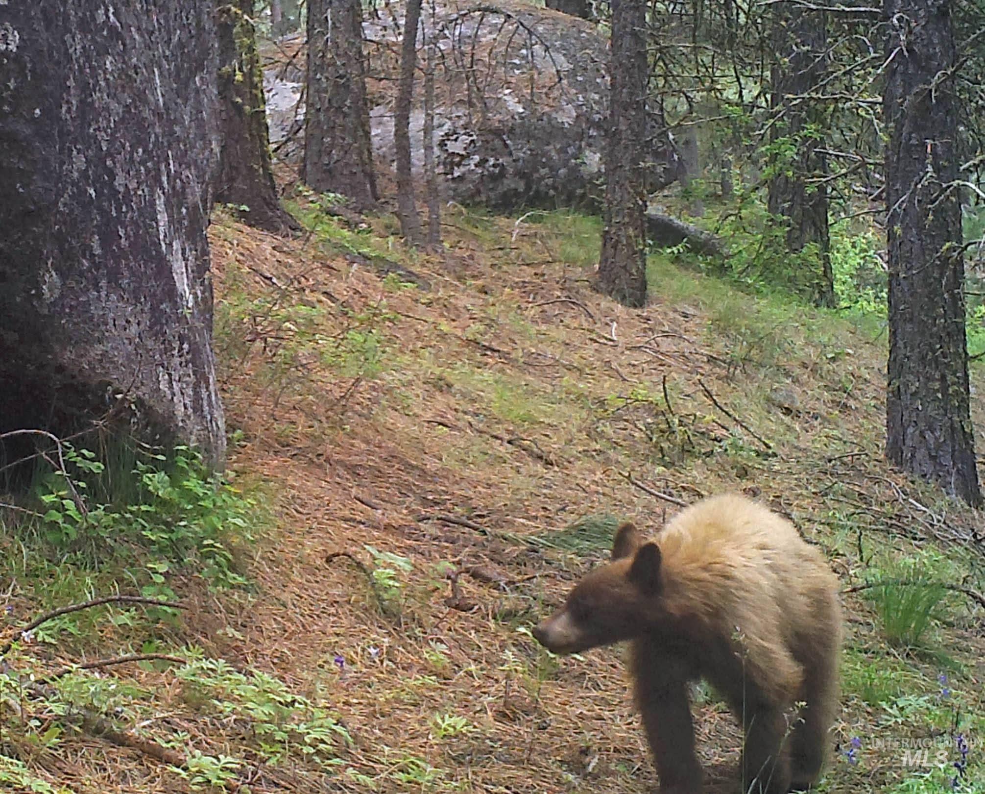 View of local wilderness