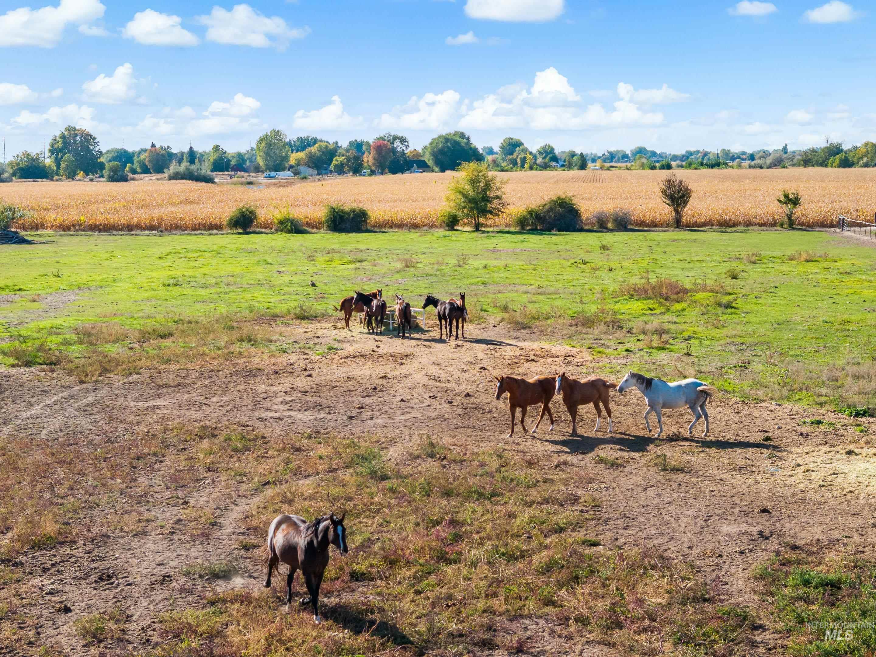 View of yard featuring a view of countryside
