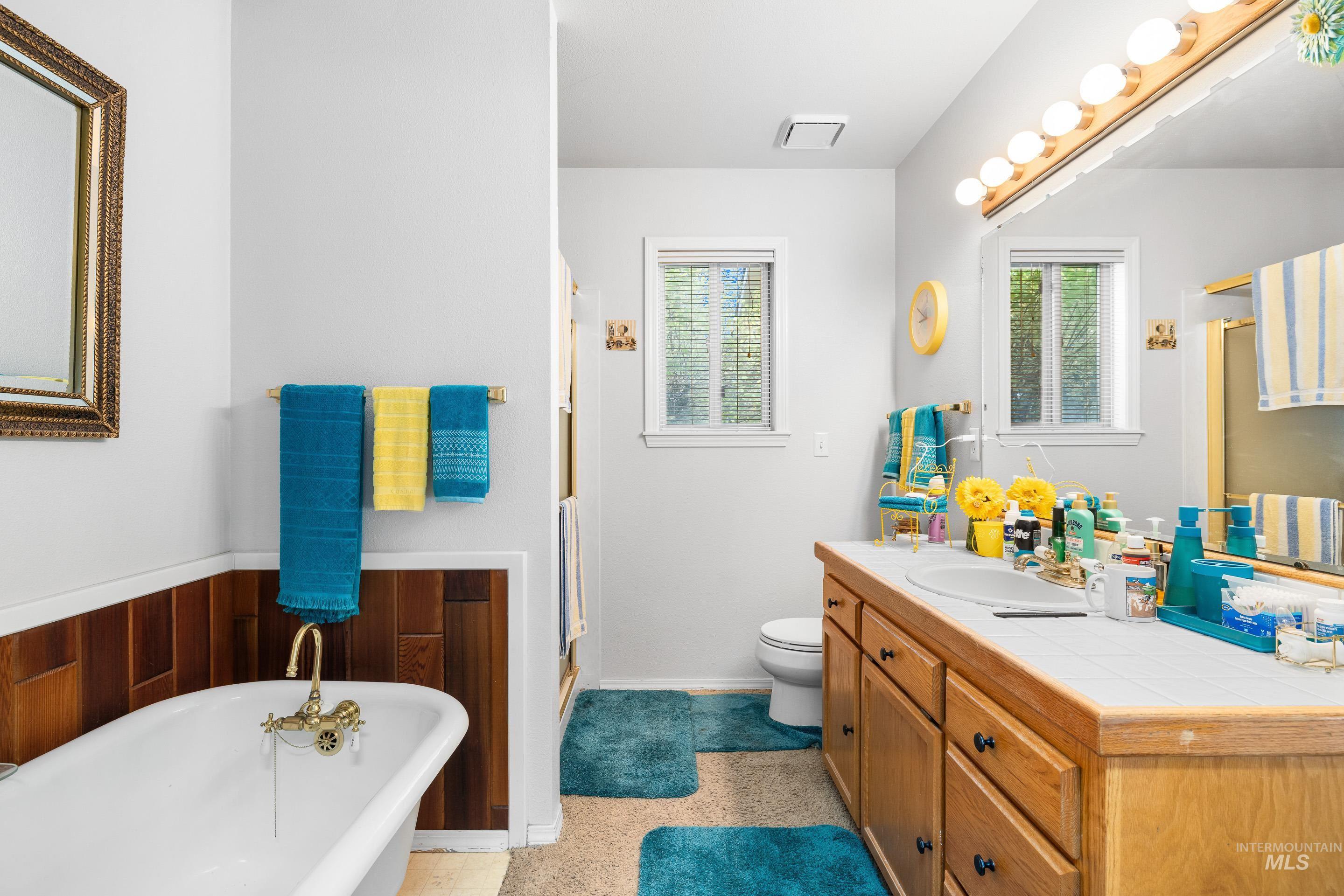 Full bath featuring a freestanding tub, healthy amount of natural light, vanity, and a shower stall