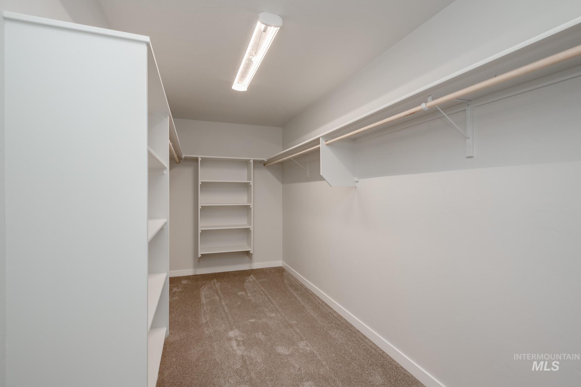Spacious closet with light colored carpet