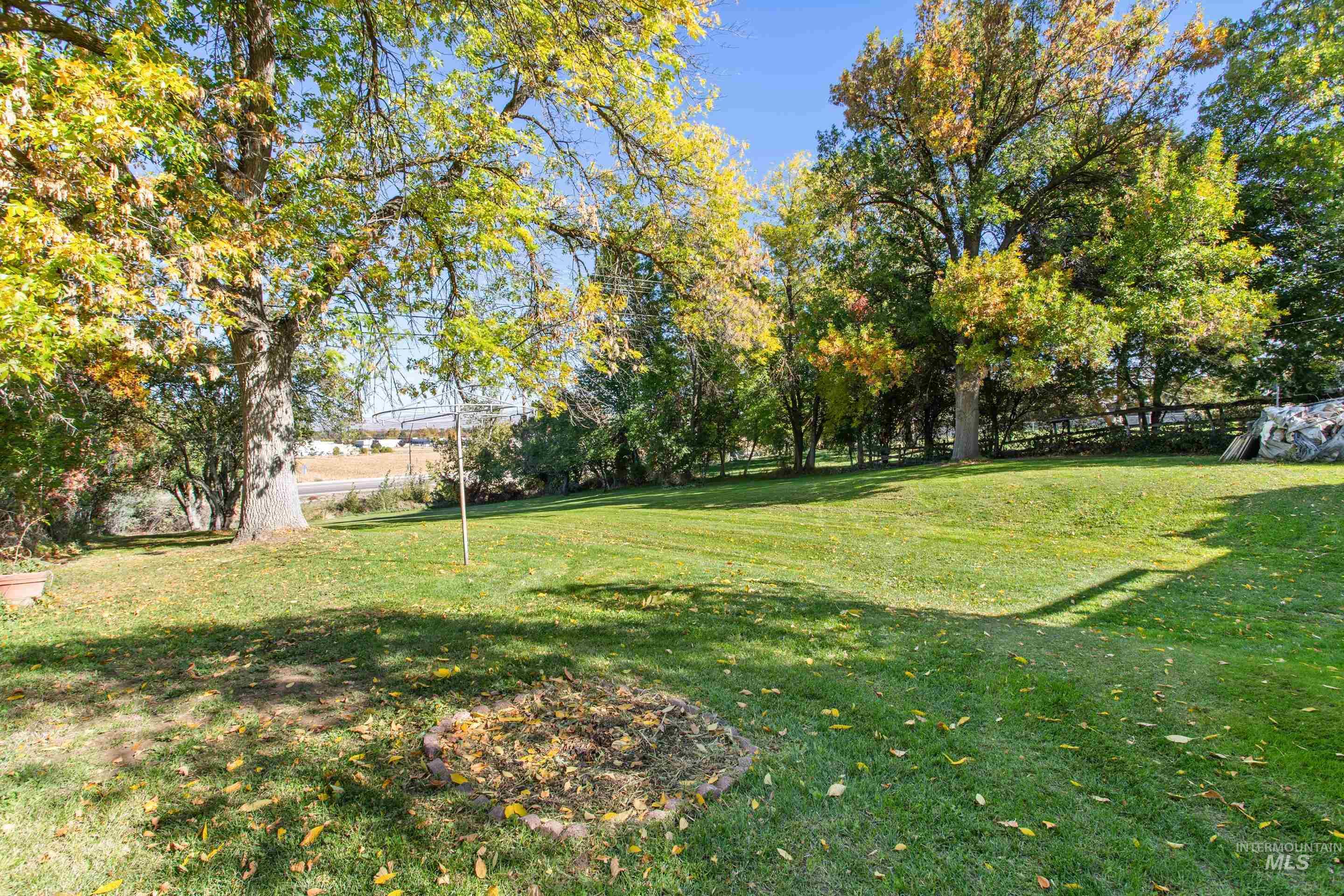 View of green lawn with view of scattered trees