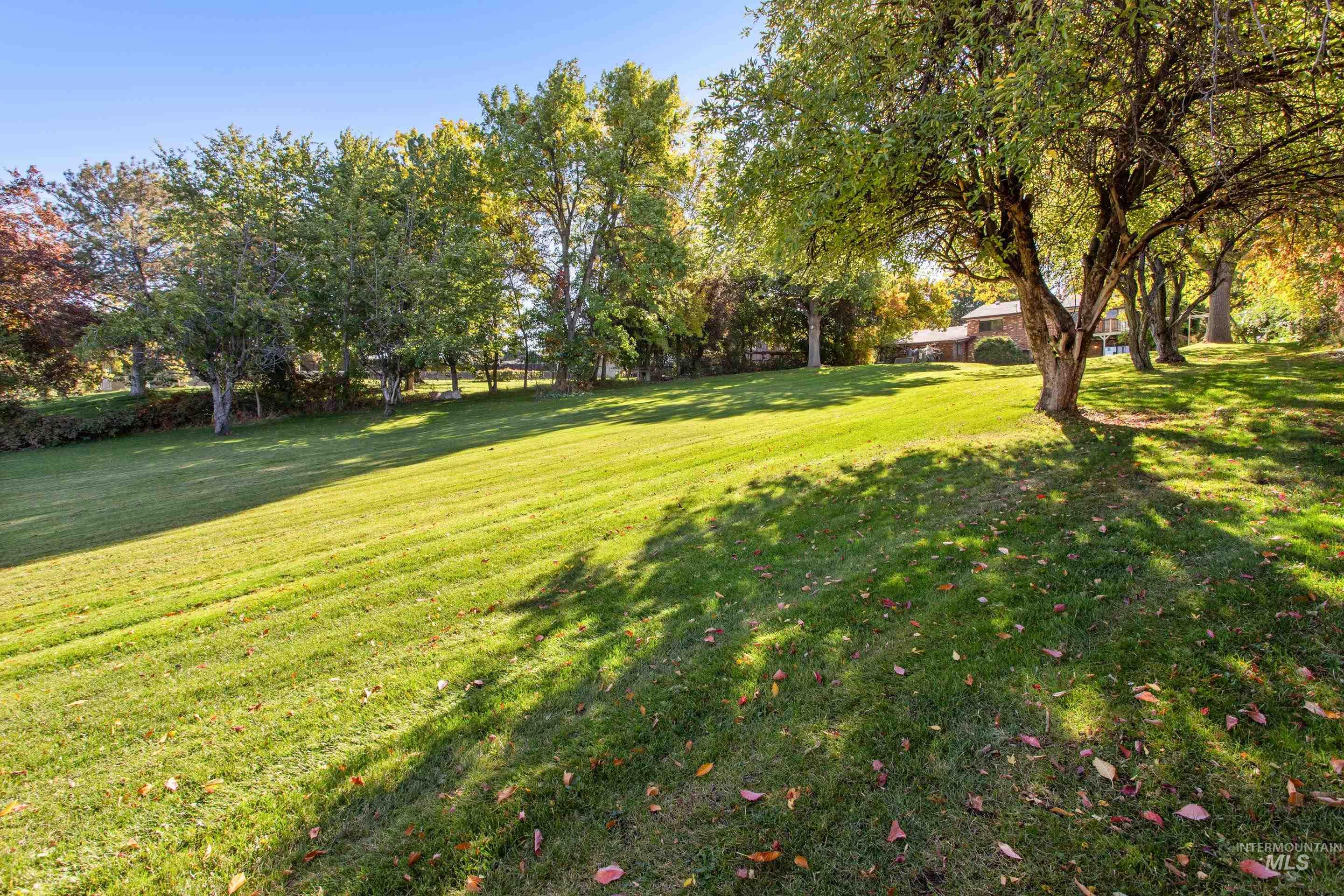 View of grassy yard featuring view of wooded area