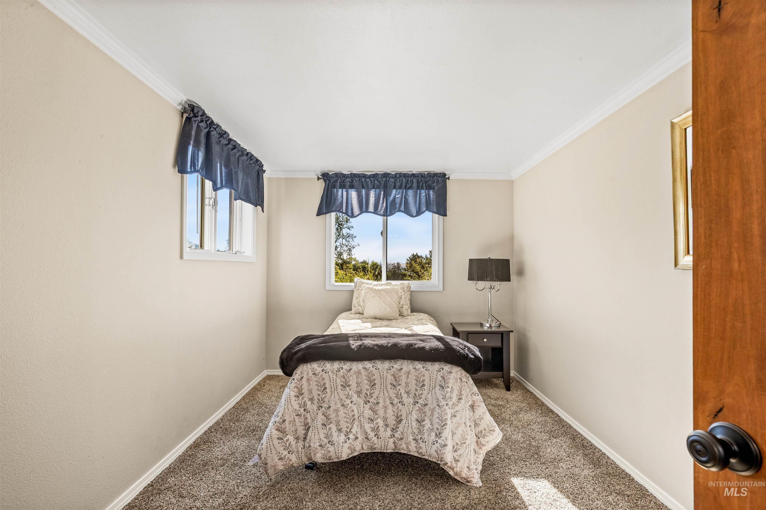 Carpeted bedroom with ornamental molding and baseboards