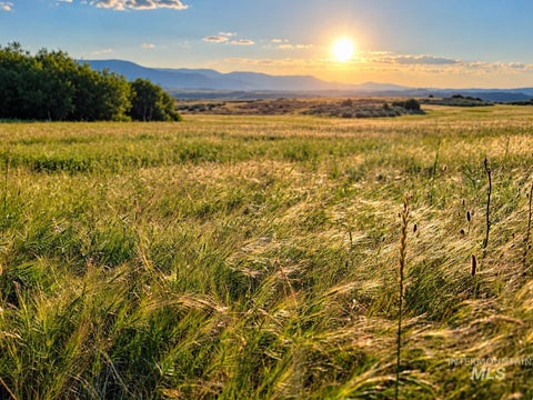 Photo of TBD To Be Determined, Council, ID 83612 (MLS # 98996002)