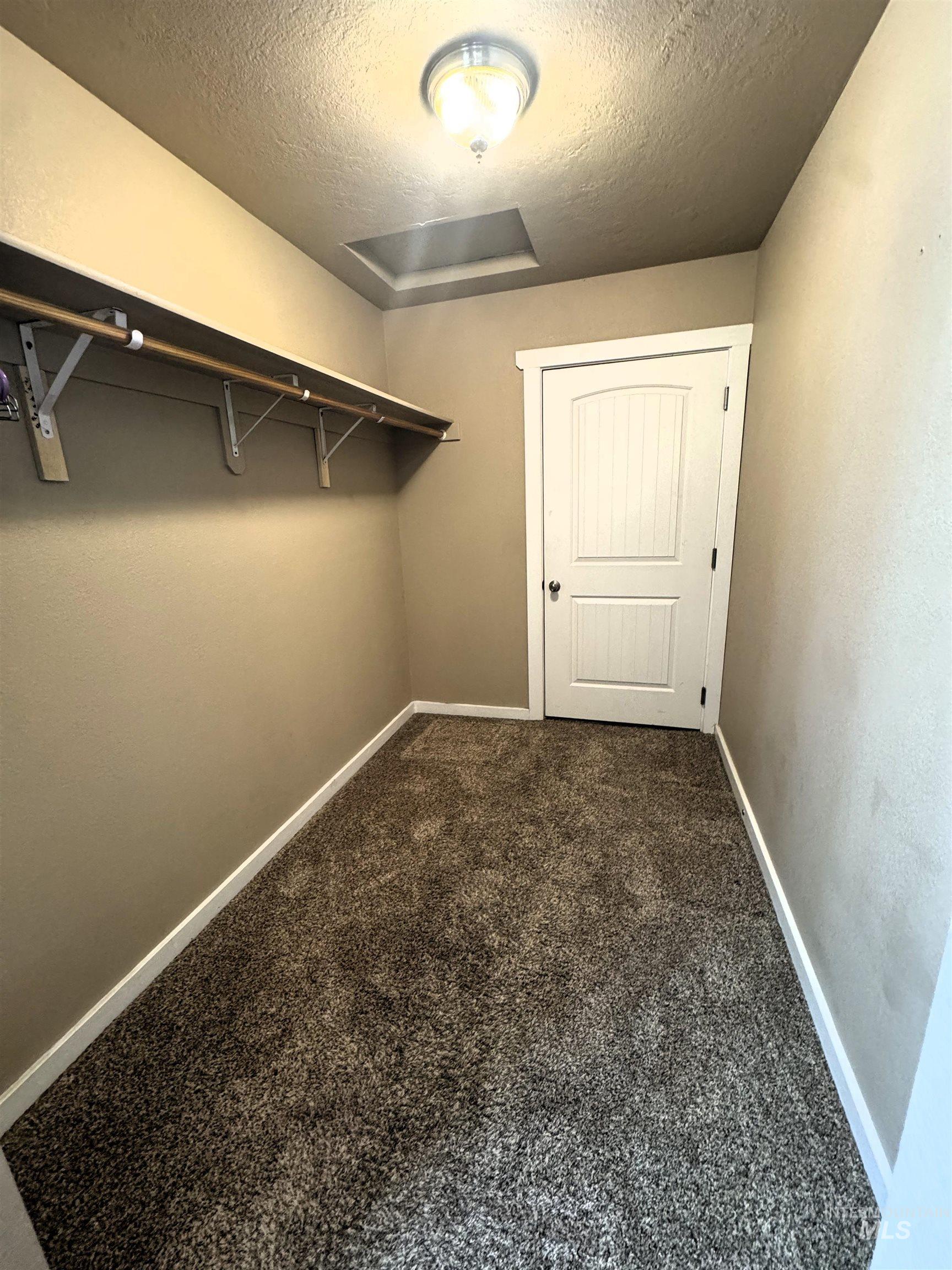 Carpeted closet featuring a single hanging rod, shelving, and a panel door with black hardware