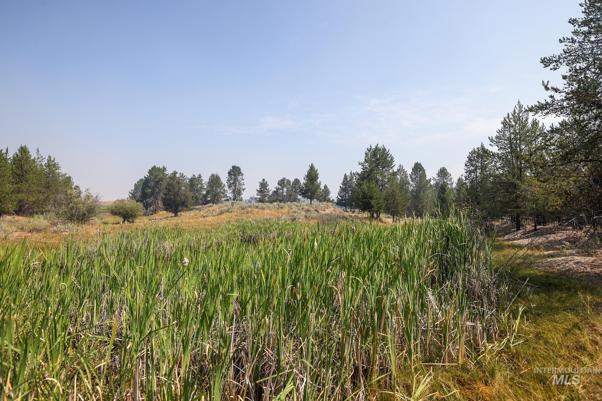 000 Highway 55, Cascade, Idaho image 18