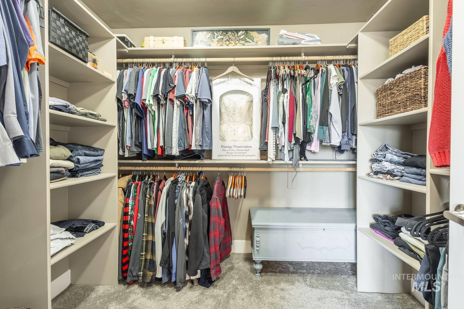 Walk in closet with light carpet