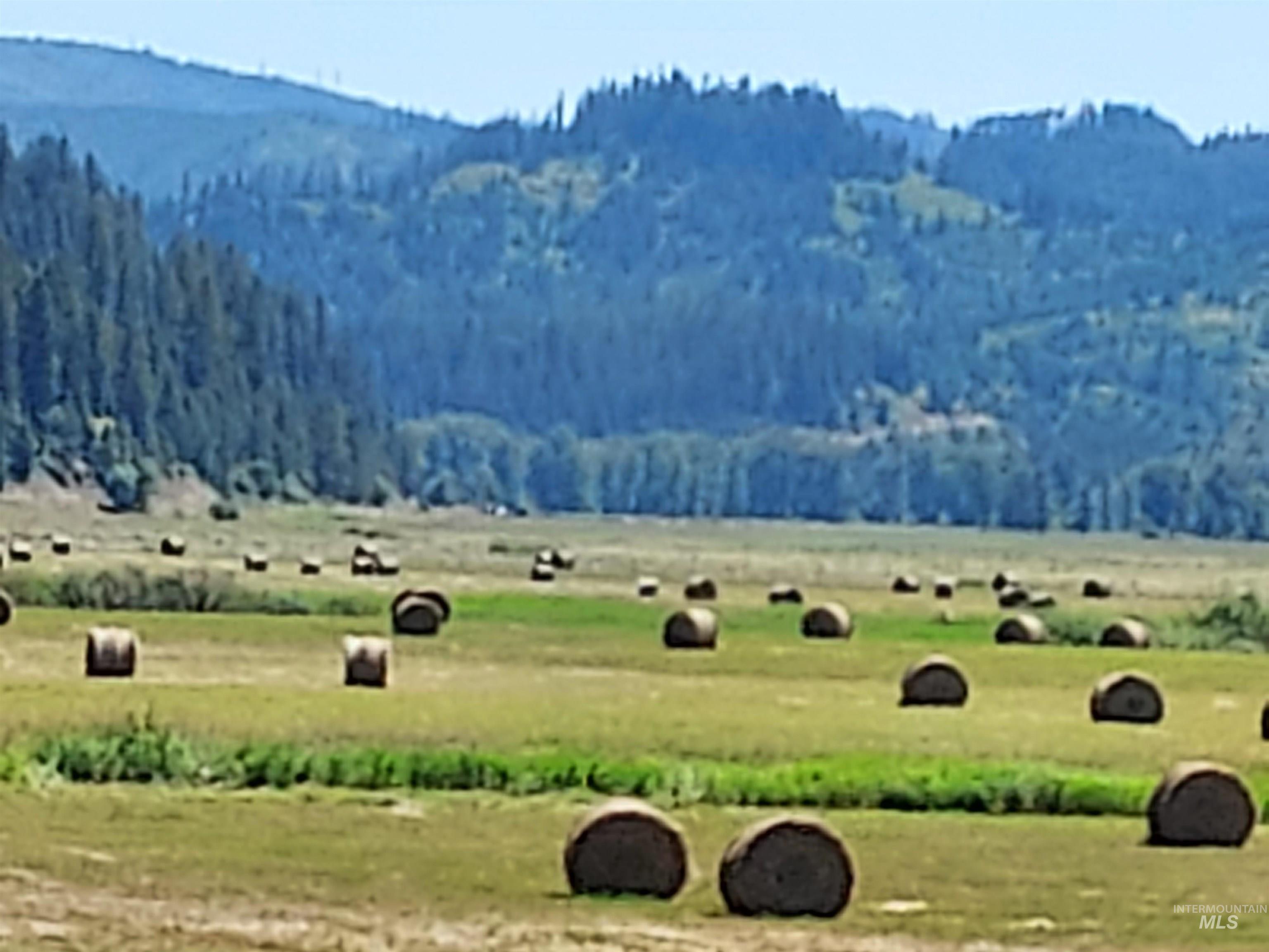 Mountain view with rural landscape