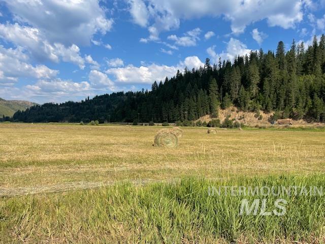 12412 St Joe River Rd