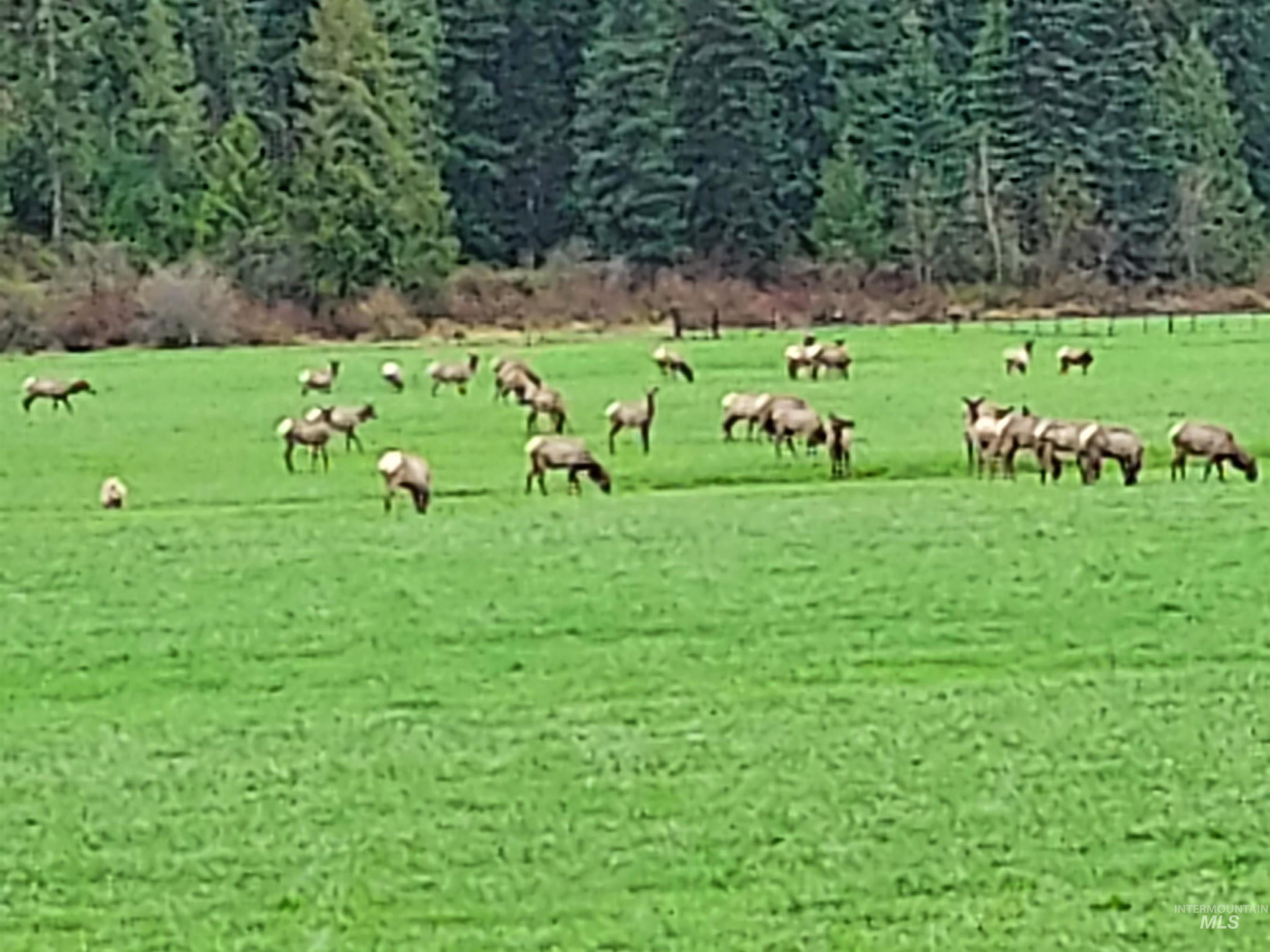 View of community with a forest view